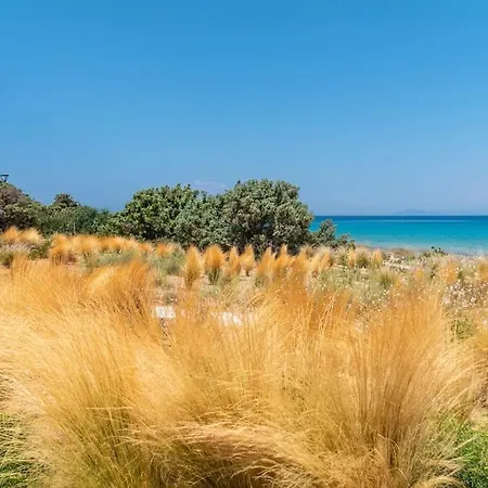Dune Kato Nisi