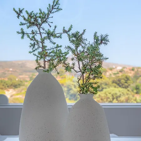 Villa Dune Kato Nisi