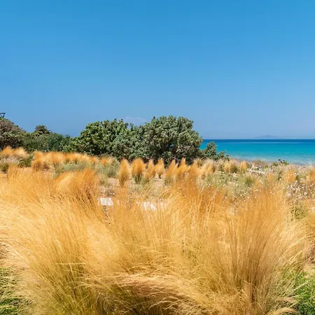 Dune Kato Nisi